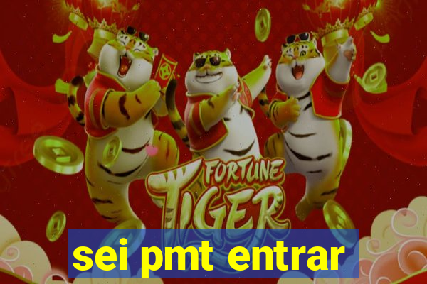 sei pmt entrar